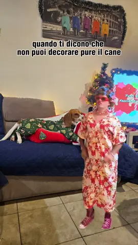 #CapCut #sisepuede #beagle #cristmas🎄 #neiperte  @MoNiaS 