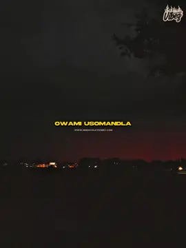 Uyandithwala (lyrics) by Stixx, Babalwa M, Thatohatsi & Nvcho #privateschoolpiano #immaculatetunes #newmusic #amapiano 