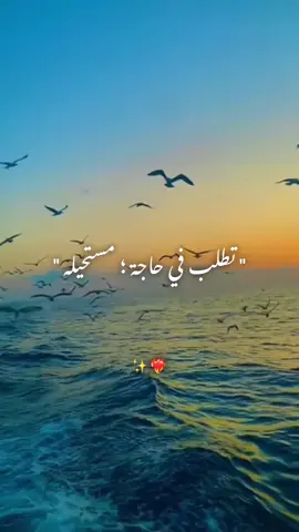 #WhatToWatch #sfax_tunisa_tiktòk🇹🇳🇹🇳 #creatorsearchinsights #تصميم_فيديوهات🎶🎤🎬 #مزود_تونسي #اغاني_تونسية @Walid Salhi | وليد الصالحي 