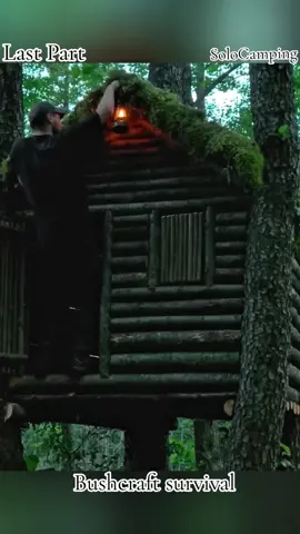 Building a cozy bushcraft treehouse over the water Catch and Cook Overnight Survival#bushcraft #survival #camping #shelter #wildlife 