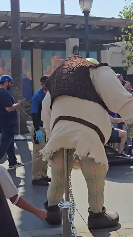 What is Shrek doin (song: ilyTOMMY - pretty ho3) #ilytommy #rap #meme #shrek #tiktok 