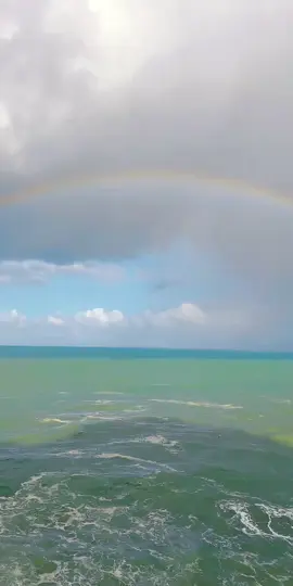 #tiktoklive #livehighlights #tiktoklive #فرنسا🇨🇵_بلجيكا🇧🇪_ #فرنسا🇨🇵_بلجيكا🇧🇪_ 