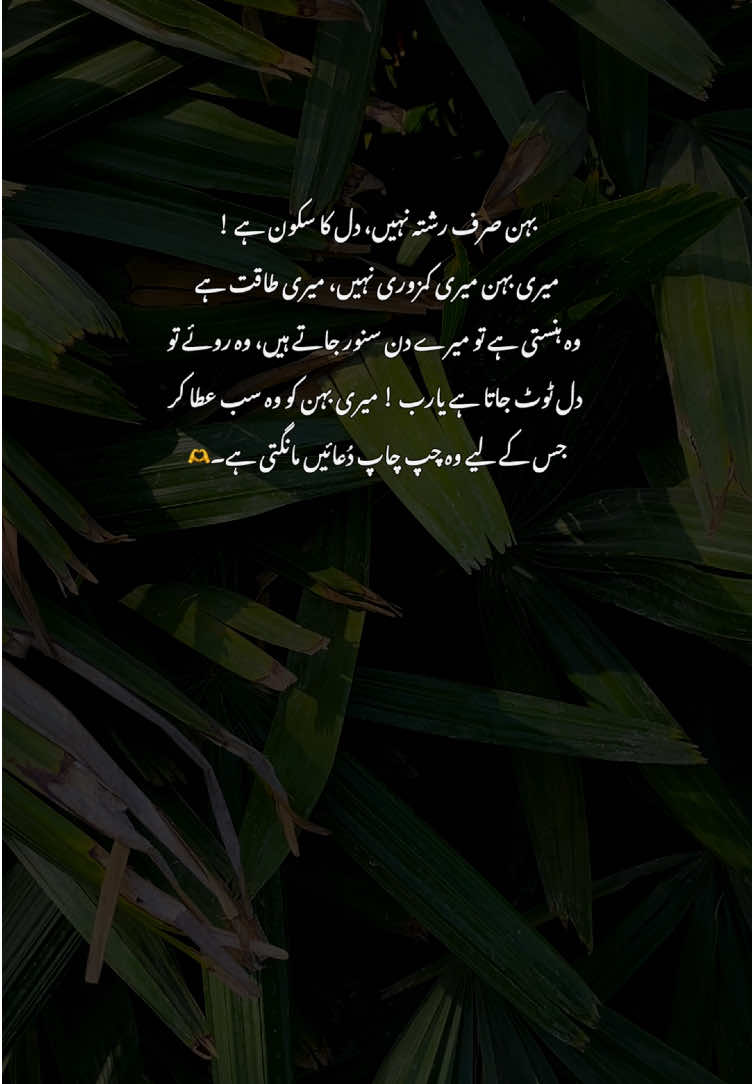 🫶🥹#fyp #grow #poetry #viralvideos #aestheticvideos 