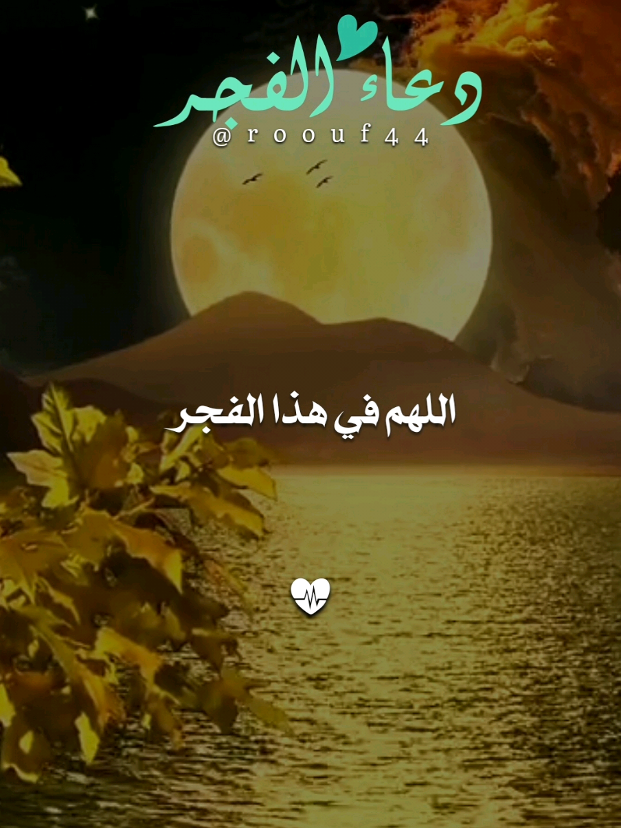 دٍعٌآء آلَفُجّر يَوٌمً آلَآحًدٍ 23.11.2025 #دعاء_الصباح وفي فجر هاذا اليوم  #صباح_الخير #دعاء_يريح_القلوب  #دعاء #الصباح  💝💝💝💕 🤲🤲🕋🕋🤲🤲 دعاء يريح القلب 🕊🕊🌺🌺