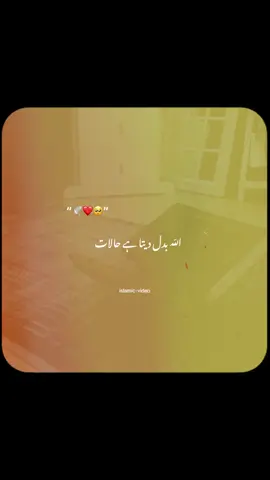 islamic video ❤️🥹🕊️#islamic #islamiccommunity #islamicvideos #allah❤️ #islamic_video 
