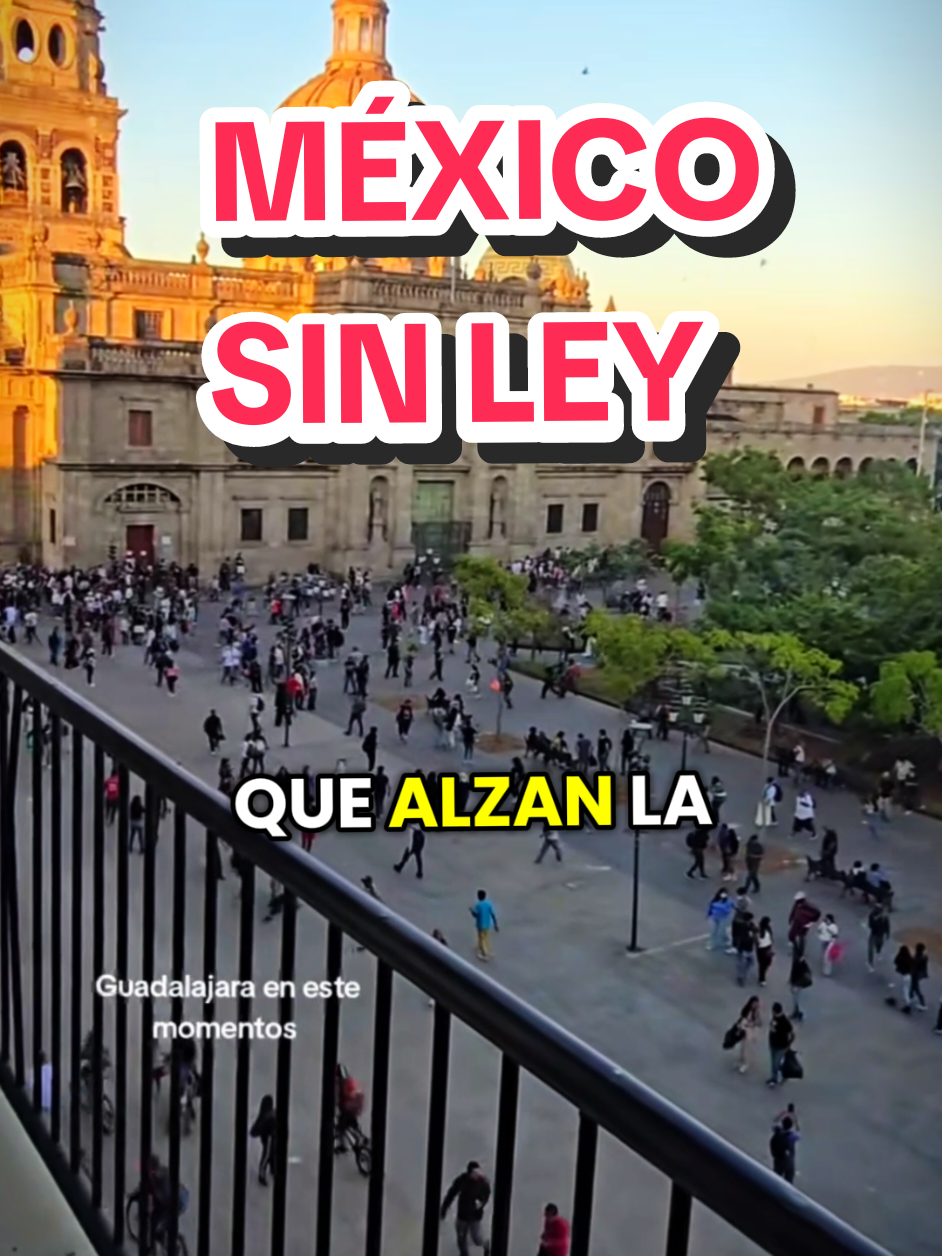 Mi lindo México sin Ley  #mexicolindoyquerido #mexicocheck #mexicotiktok #policiasmexico #justicia 