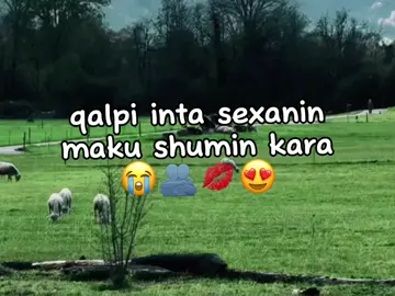 igu qaado😭😂#jawi_bila🌊❤️🌴#jawiga_jawiyada_eryaday🌴❤️#mohamed😋💘 