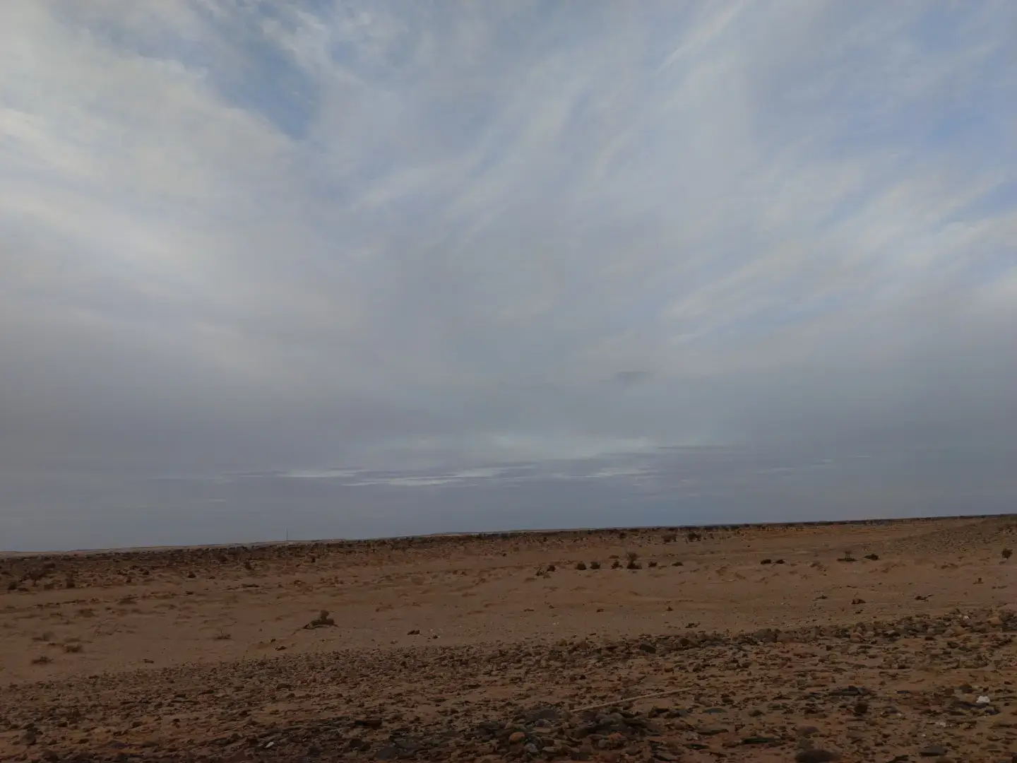 لوكار المنها باگية فخلاگي ولها حايز  سلوان وواد الساگية وبغيديد ولگوايز  #fyp  #الشعب_الصيني_ماله_حل😂😂 