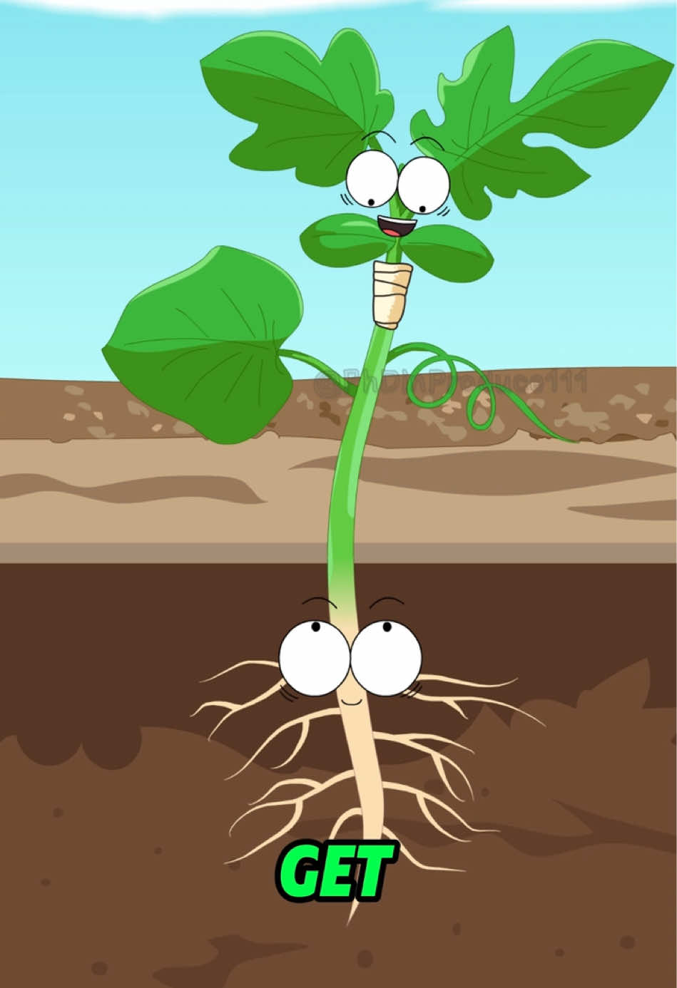 Can you graft them like this? Will the watermelon taste like pumpkin? #foryou#fyp#2danimation#webtoon