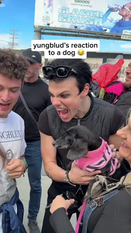 @yungblud SO CUTE 😭 #yungblud #yungbludarmy #rock 