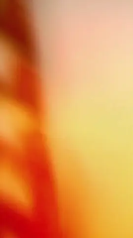 #CapCut MOMENT OF 2025 . . . .#templatecapcut #trand #Vlog #2025end #2025 #2025bride #2025rewind #vlogtoday #today 