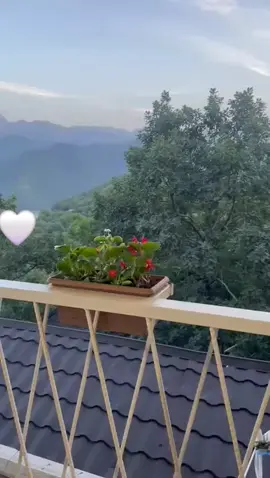 Gözlüyüceyem,Gelsende Gelmesende🤍)) #22iqo 