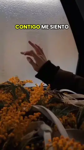 Contigo lo quiero todo😍♥️🌞💋