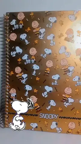 O Snoopy invadiu o Kit Mix ! ✨ A coleção de cadernos 2026 vem com adesivos fofos do Snoopy! 🙃 Venha correndo comprar o seu antes que acabe ! ✨😍 #voltaasaulas2026  #Reels  #Snoopy #cadernobonito 