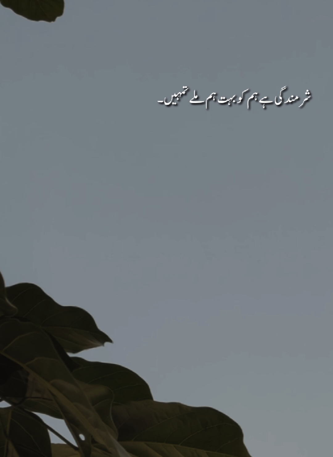 شرمندگی ہے ہم کو بہت ہم ملے تمہیں  تم سر بہ سر خوشی تھے مگر غم ملے تمہیں  میں اپنے آپ میں نہ ملا اس کا غم نہیں  غم تو یہ ہے کہ تم بھی بہت کم ملے تمہیں  ہے جو ہمارا ایک حساب اس حساب سے  آتی ہے ہم کو شرم کہ پیہم ملے تمہیں  تم کو جہان شوق و تمنا میں کیا ملا  ہم بھی ملے تو درہم و برہم ملے تمہیں  اب اپنے طور ہی میں نہیں تم سو کاش کہ  خود میں خود اپنا طور کوئی دم ملے تمہیں  اس شہر حیلہ جو میں جو محرم ملے مجھے  فریاد جان جاں وہی محرم ملے تمہیں  دیتا ہوں تم کو خشکئ مژگاں کی میں دعا  مطلب یہ ہے کہ دامن پر نم ملے تمہیں  میں ان میں آج تک کبھی پایا نہیں گیا  جاناں جو میرے شوق کے عالم ملے تمہیں  تم نے ہمارے دل میں بہت دن سفر کیا  شرمندہ ہیں کہ اس میں بہت خم ملے تمہیں  یوں ہو کہ اور ہی کوئی حوا ملے مجھے  ہو یوں کہ اور ہی کوئی آدم ملے تمہیں. جون ایلیا  #lost_Uzi8035 #foryoupage #foryoupage #plzunfrezemyaccount #plzdontunderviewsmyvedios 