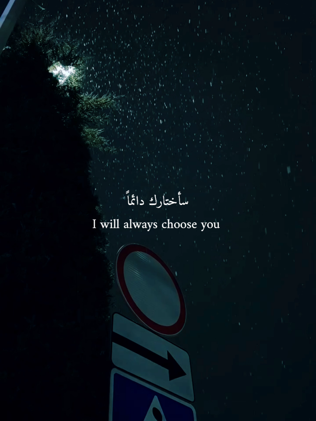 I will always choose you🤍✨ #mj_37o #اقتباسات #منشن 