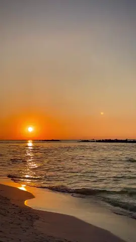 #الدولي🖖👑 #جمصه_دميااط_المنصوره #تصميم_فيديوهات🎶🎤🎬 #تصميمي #الدولي🖖👑 @السامبو👑🦅☝ @💙🧿FaToTa #الدولي🖖👑 