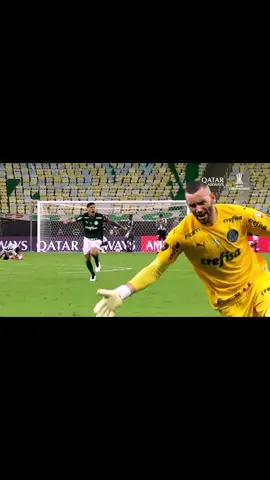 Libertadores 4️⃣ 💭##palmeiras #edit #palmeirasedit #libertadores #sonho 