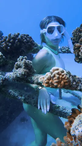 Tight squeeze through this underwater cage but I made it! 😮‍💨 #freedive #hawaii #ocean 