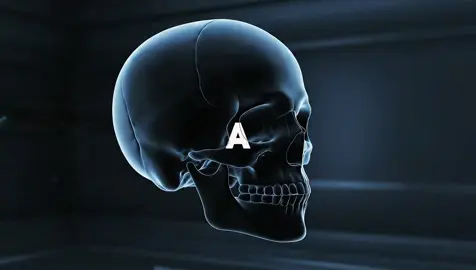 Part 1 | Reality looks different inside you. #LearnOnTikTok #education #Science #headshot 