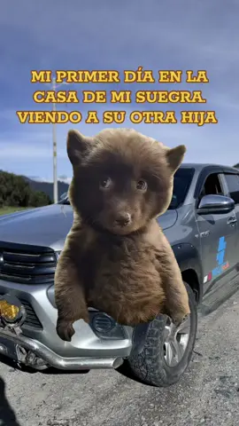 #Meme #MemeCut  #humor #viralvideo 