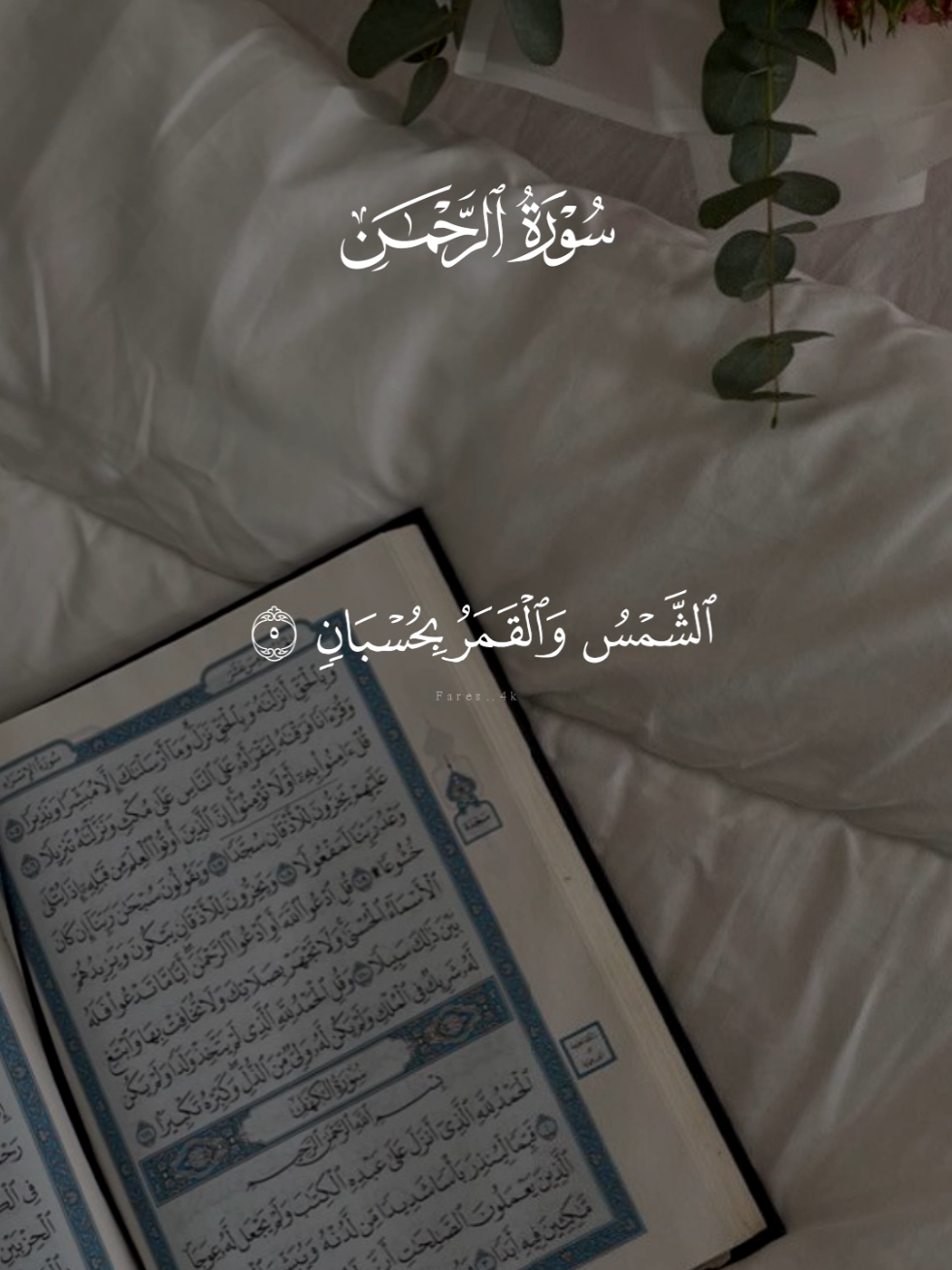 سورة الرحمن كامله ماهر المعيقلي 🩶 #قران #ماهرالمعيقلي #quran #قران_كريم #سورة_الرحمن 