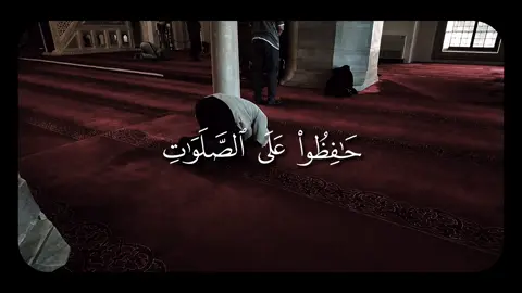 #قران #قرآن #قران_كريم #quran #ياسر_الدوسري 