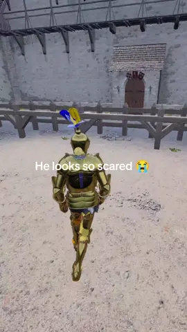 He shouldn't have swung on me #trending #gaming #halfsword #GamingOnTikTok #pcgaming 