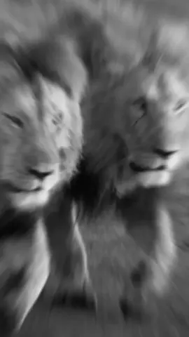 #اكسبلور_تيك_توك #سوهاج_قنا_اسيوط_اسوان_المنيا_الاقصر #سوهاج_قنا_اسيوط_اسوان_المنيا_الاقصر #pppppppppppppppp #سوهاج_قنا_اسيوط_اسوان_المنيا_الاقصر 