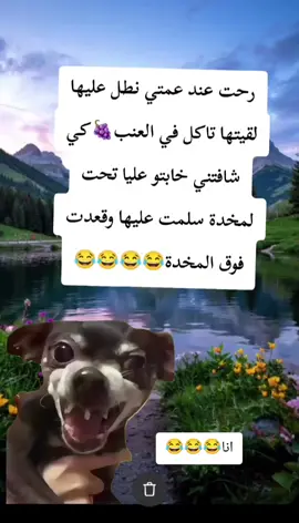 #CapCut  #MemeCut #Meme #viraltiktok #viral  @ضحك وتمهبيل شرات والمعاني✌ 