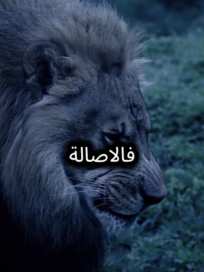 اغلى ثمن تدفعه في حياتك هو ثمن عاطفتك وصدقك واخلاصك  #اقتباسات_عبارات_خواطر #عبارات #اقتباسات #المواقف #خواطر 