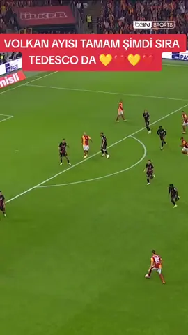 #icardi🇦🇷⚡ #keşfetteyizzz #galatasaray💛❤ #keşfetedüşür #fenerbahçe💛💙 