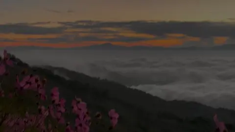 القارئ #مؤيد_المزين | #سورة_البقرة 🤍.