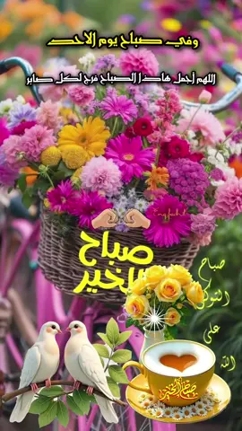 #دعاء_يوم_الاحد #صباح_السعادة_لقلوبڪم_الطّيّبــۃ🌸 #صباح_الخير #دعمكم_وتشجيعكم_يهمني_ليصلكم_كل_جديد💔 