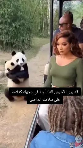 #اكسبلور #حركة_إكسبلور 