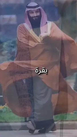 #القائد  #البقرة_الحلوب #السعودية  #ترمب #اعادة_النشر🔃 