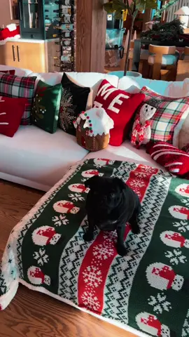 Decorating my couch for Christmas ❤️ #christmas #christmasdecor #christmasdecorating #xmas 