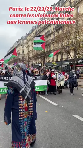Paris, le 22/11/25, Marche contre les violences faites aux femmes palestiniennes 