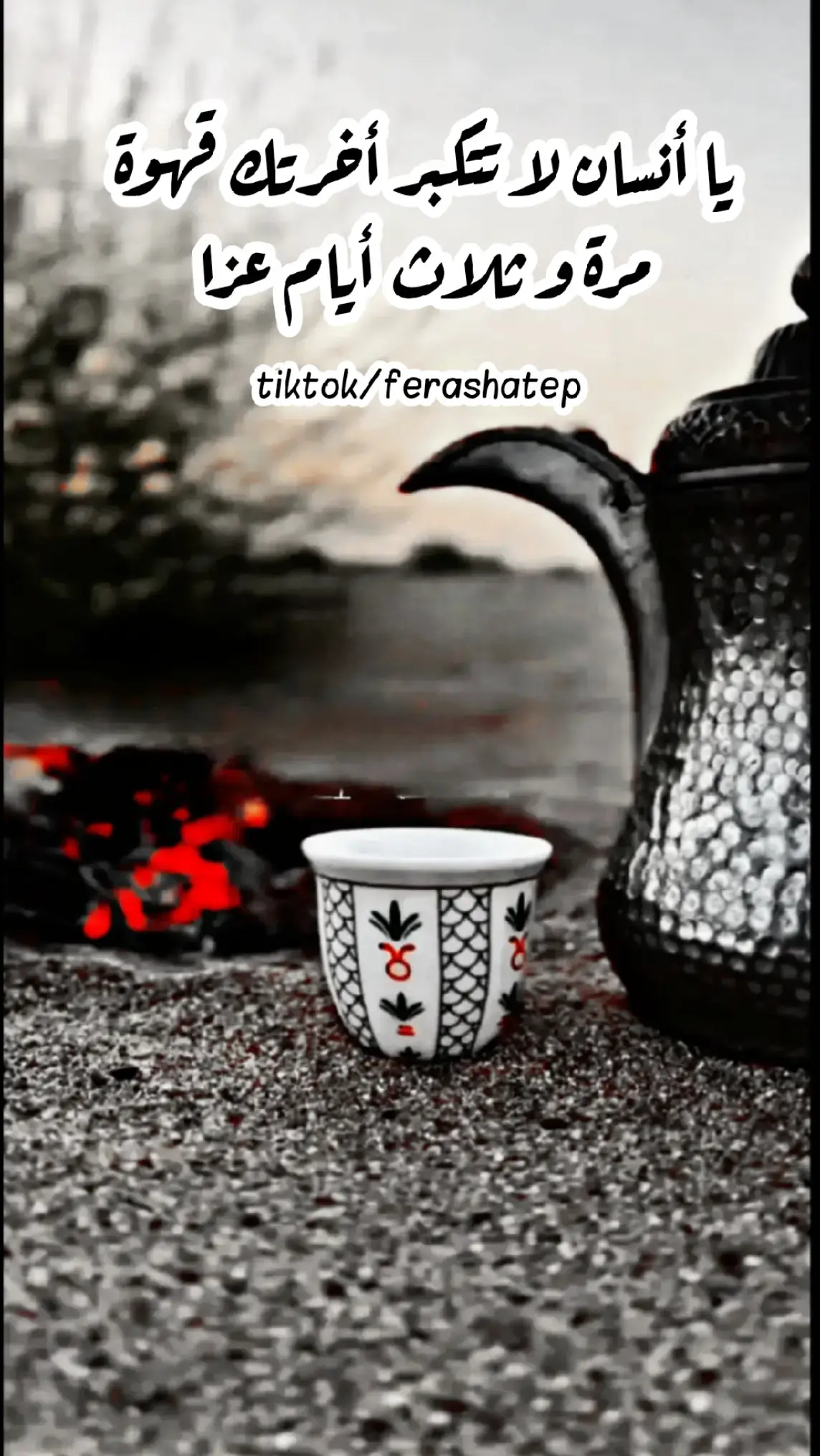 #الملح_مو_خربان #ستوريات #فراس_أبومحمد #مجرد________ذووووووق🎶🎵💞 #سوريا_تركيا_العراق_السعودية_الكويت 