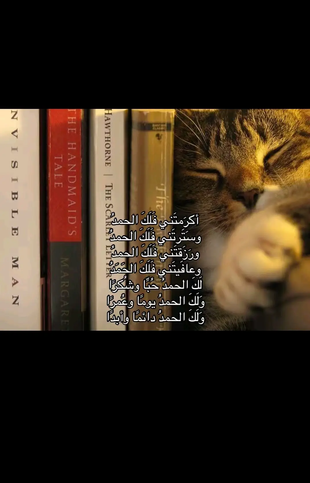 #قران_كريم #المنشاوي #محمد_صديق_المنشاوي #سورة_الشعراء 