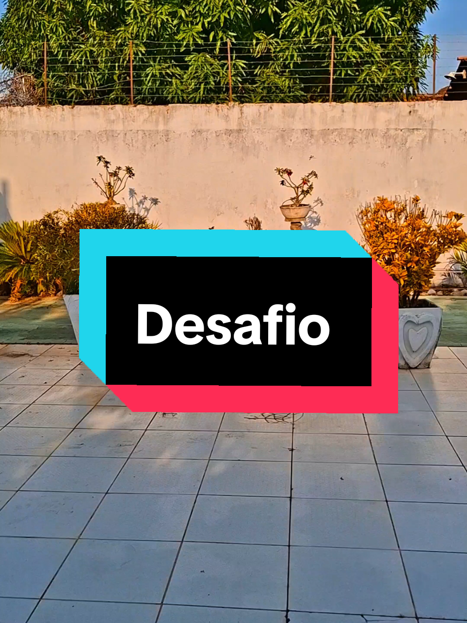 Consegue desvendar o truque? 🤔 #segredos #truque #ilusão #desafio 