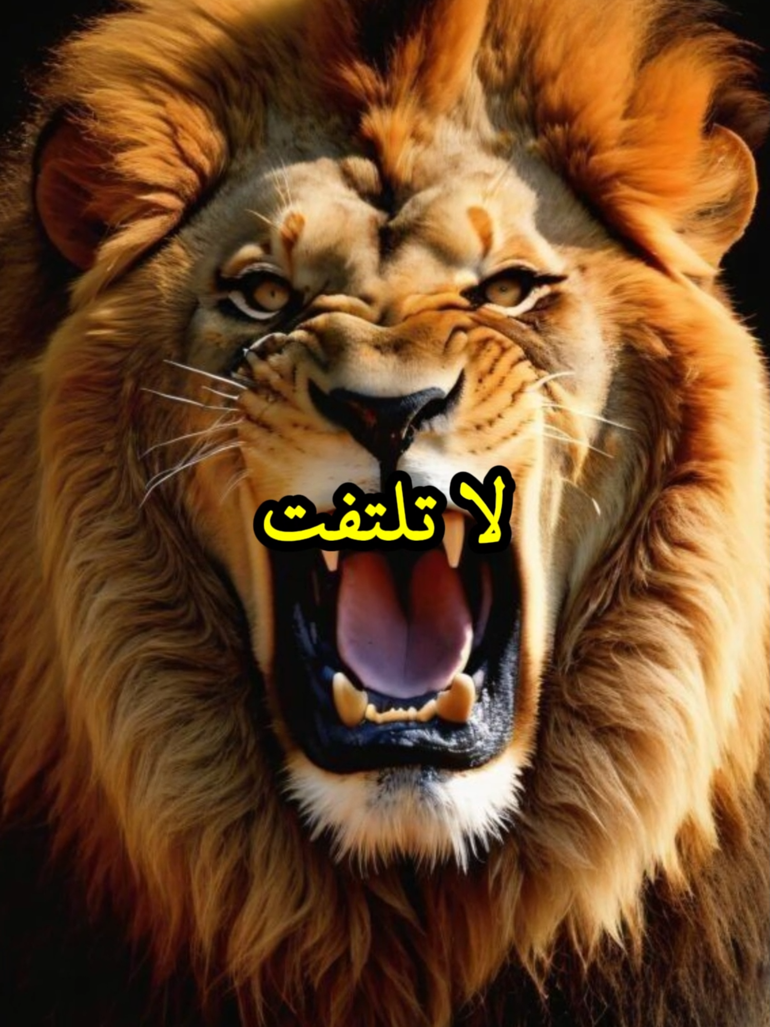 لا تلتفت يميناً أو يساراً  #حكمة #خواطر #اكسبلور #نجاح #علم_النفس #تطوير_الذات #كلام_من_ذهب #اطمئن #اقتباسات_عبارات_خواطر #تحفيزات_إيجابية #اللهم_صلي_على_نبينا_محمد #fyp #explorer #viral_videos #psychology #motivation