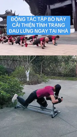 Máy tập bò #yoga #tapluyen #theduc #vatlytrilieu 