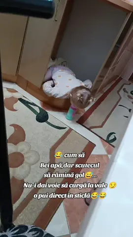 #copii #nebunii #recomandări 