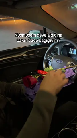 Yeqin ki özüde yorumlari oxuyacaq bagisliyim? 