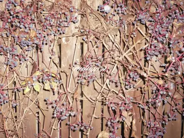 херня какая-та, мб удалю потом #autumn #moodboard #fyp 