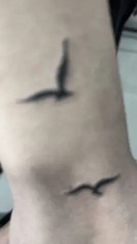 #tatouages  #tatouages  #tatouages  #tatouages  #tatouages   وشم رائع 