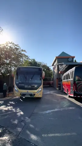 Respuesta a @Caracolito JR⚡🎪 ay está su video rey 👑 #busestuningvip🔱 #paratiiiiiiiiiiiiiiiiiiiiiiiiiiiiiii #foryoupage #fyppppppppppppppppppppppp #busestilo😼 