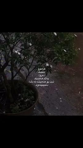 بۆ هەمیشە.##acc #fyp #foryou #rasty_lak #foryoupage 