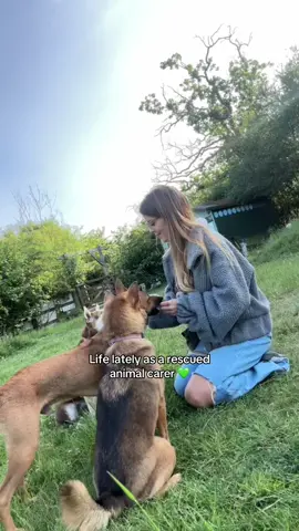 Life as a rescued animal carer lately. There are highs and lows, tears and smiles, love and heartbreak, and we work our butts off, rain or shine.  We can’t change the world but we can change their world and make them feel loved and cared for. They deserve all of it. You are capable of making a difference 💚 #animalrescue #rescuedog #animalsanctuary @The Retreat Animal Rescue #adoptdontshop #sanctuarylife 